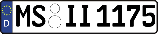 MS-II1175