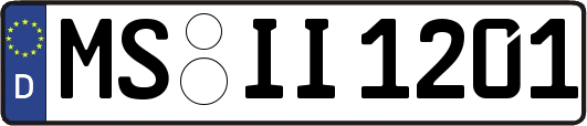 MS-II1201