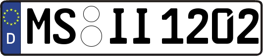 MS-II1202