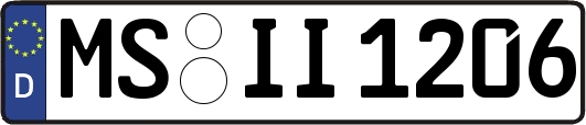 MS-II1206