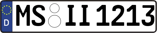 MS-II1213