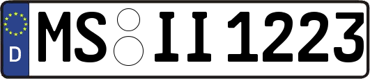 MS-II1223