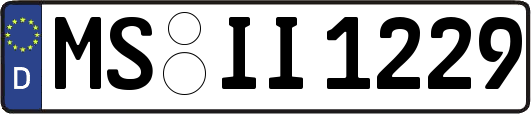 MS-II1229