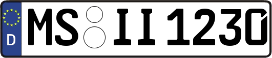 MS-II1230