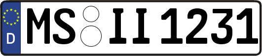 MS-II1231