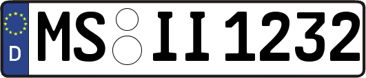 MS-II1232
