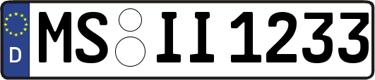 MS-II1233