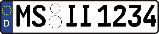 MS-II1234