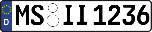 MS-II1236