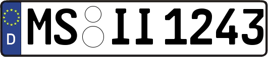 MS-II1243