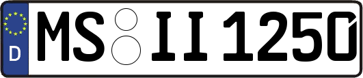 MS-II1250