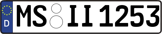 MS-II1253
