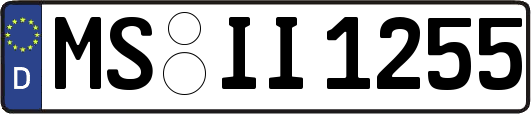 MS-II1255