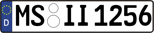 MS-II1256