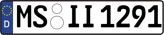 MS-II1291