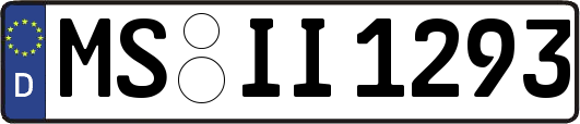 MS-II1293