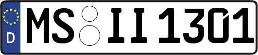 MS-II1301