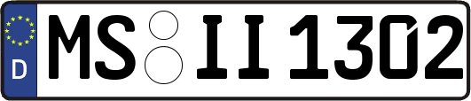MS-II1302