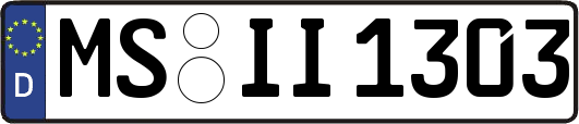 MS-II1303