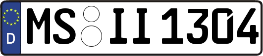MS-II1304