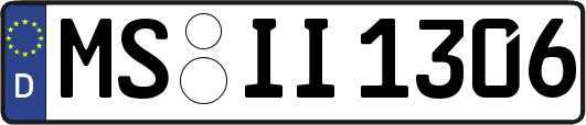 MS-II1306