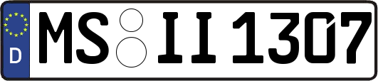 MS-II1307
