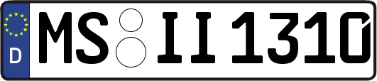 MS-II1310