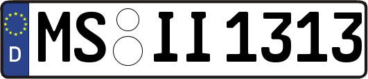 MS-II1313
