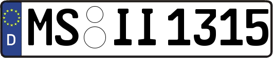 MS-II1315