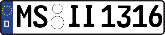 MS-II1316