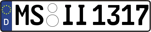 MS-II1317