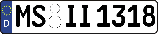 MS-II1318