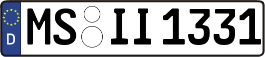 MS-II1331