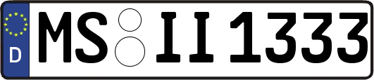 MS-II1333
