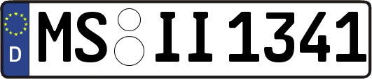 MS-II1341