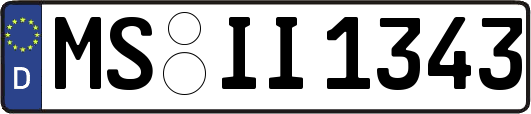 MS-II1343