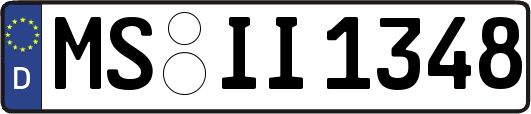 MS-II1348