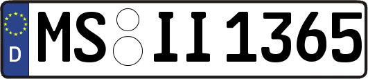 MS-II1365