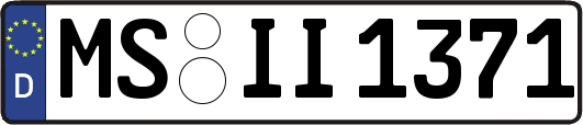 MS-II1371
