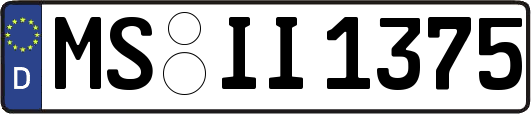 MS-II1375