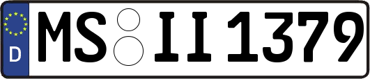 MS-II1379