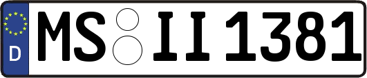 MS-II1381