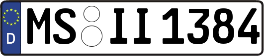 MS-II1384
