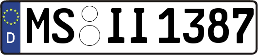 MS-II1387