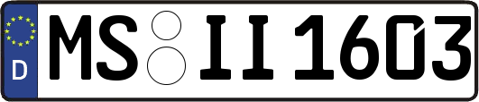 MS-II1603