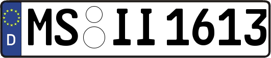 MS-II1613