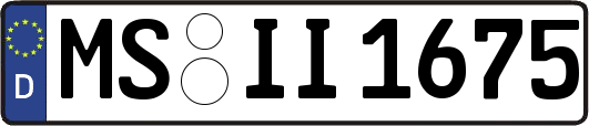 MS-II1675
