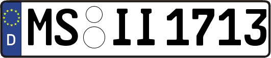 MS-II1713