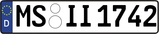 MS-II1742