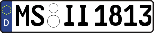 MS-II1813